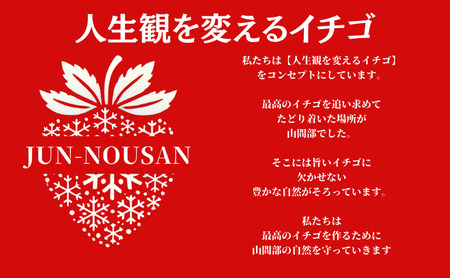 【伊勢神宮おはらい町で3時間で完売】グルメ家が「今までで1番旨い」とうなったイチゴ【女神の雫】 2026年1月 2月 3月 4月 450g 岐阜県 美濃市 じゅん農産 2 苺