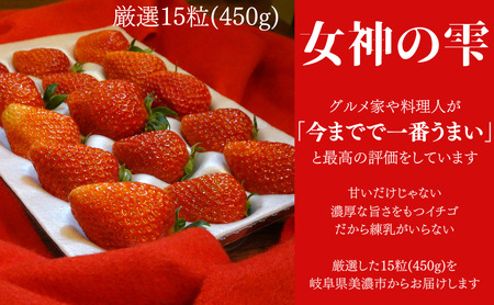 「今までで1番うまい」とうなったイチゴ【女神の雫】 2026年1月 2月 3月 4月 450g 岐阜県 美濃市 じゅん農産 1 苺
