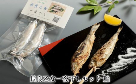長良乙女一夜干しセット 鮎 和食 惣菜 魚 つまみ おかず お酒 晩酌 あて お供 肴 魚料理 調理済み 川魚 骨 柔らかい 頭 丸ごと 旨味 凝縮 冷凍 干物