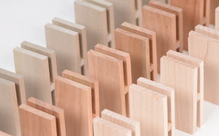 ドミノ 木のおもちゃ 積み木 HAPINO 雑貨 日用品 並べる 倒したり ふれあい 花 葉 刻印 外出 四感 楽しむ 三種 木材 遊ぶ 