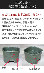 【美濃焼】 名入れオーダー レタリング土鍋 8号 n218 瑞浪市 / ながしまプランニングオフィス 陶器 どなべ 鍋 レンジOK オーブンOK [AZBM108]