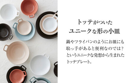 【美濃焼】 miyama. TOTTE-PLATE (トッテプレート) プレートL 5色組 瑞浪市 / ミヤマプランニング 食器 皿 [AZCM075]