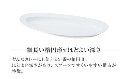 【美濃焼】 miyama.のカレーのうつわ いつものカレー皿 白磁 瑞浪市 / ミヤマプランニング 食器 皿 プレート [AZCM056]