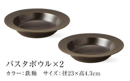 【美濃焼】 miyama.のパスタボウル プルー 鉄釉 2個 瑞浪市 / ミヤマプランニング 食器 皿 プレート [AZCM055]