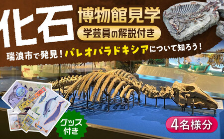 瑞浪市化石博物館 パレオパラドキシアコーナー 学芸員の解説付き見学ツアー(4名様) ＆ グッズセット 瑞浪市 [AZCJ004] 10,640円