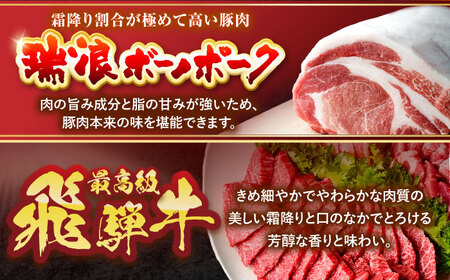 ※冷蔵配送/地域限定※ 飛騨牛 ボーノポーク 焼肉セット 合計1kg [AZCI035] 飛騨牛 ブランド豚