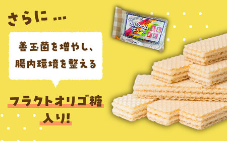 カルシウム ウエハース 4種 180枚 (バニラ・レモン・オレンジ・ミルク) 詰め合わせ 瑞浪市 / 中新製菓 お菓子 おやつ 大容量[AZBN002]