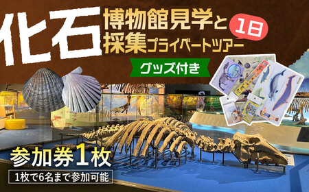 瑞浪市化石博物館 見学と化石採集プライベートツアー（一日）＆ グッズセット 瑞浪市[AZCJ006]