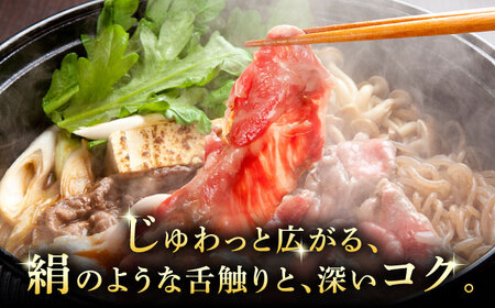 【12/22までの決済で年内発送】A5等級 飛騨牛 切り落とし 1kg (250g×4P) 瑞浪市 / マルチョウ渡辺精肉店 牛肉 和牛 国産 ギフト お取り寄せ [AZCW002]