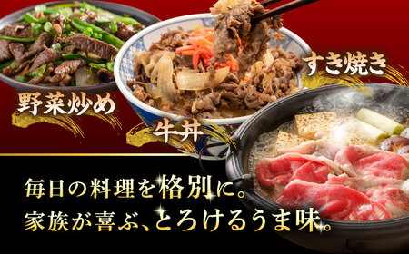 【12/22までの決済で年内発送】A5等級 飛騨牛 切り落とし 1kg (250g×4P) 瑞浪市 / マルチョウ渡辺精肉店 牛肉 和牛 国産 ギフト お取り寄せ [AZCW002]