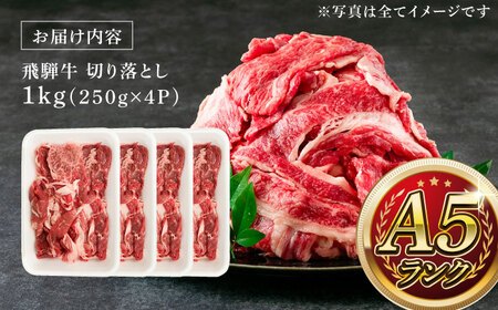 【12/22までの決済で年内発送】A5等級 飛騨牛 切り落とし 1kg (250g×4P) 瑞浪市 / マルチョウ渡辺精肉店 牛肉 和牛 国産 ギフト お取り寄せ [AZCW002]