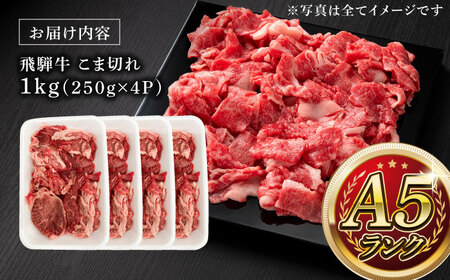 A5等級 飛騨牛 こま切れ 1kg (250g×4P) 瑞浪市 / マルチョウ渡辺精肉店 牛肉 和牛 国産 ギフト お取り寄せ [AZCW004]