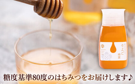 自慢のそよご蜜 300g 瑞浪市 / 堀養蜂園 はちみつ 蜂蜜 国産[AZCF009]