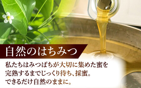 自慢のそよご蜜 300g 瑞浪市 / 堀養蜂園 はちみつ 蜂蜜 国産[AZCF009]