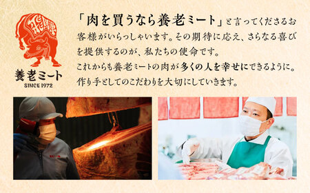 飛騨牛 切り落とし 700g [AZDB001]  飛騨牛