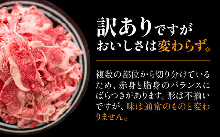 飛騨牛 切り落とし 280g [AZDB002] 飛騨牛