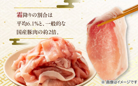 国産豚肉 瑞浪ボーノポーク 焼肉用 4種盛りセット (ロース・肩ロース・バラ・小間切れ) 計1.2kg  マルチョウ渡辺精肉店 [AZCW038] 豚肉焼肉用