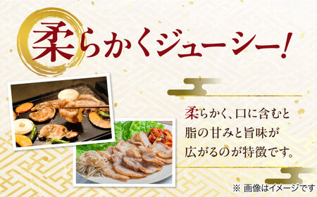 国産豚肉 瑞浪ボーノポーク 焼肉用 4種盛りセット (ロース・肩ロース・バラ・小間切れ) 計1.2kg  マルチョウ渡辺精肉店 [AZCW038] 豚肉焼肉用