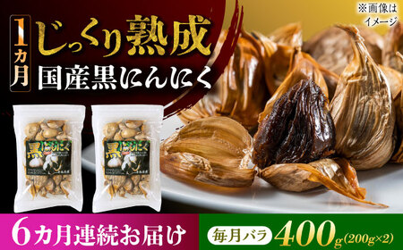 岐阜県(瑞浪市)】【6回定期便】 国産熟成 黒にんにく 400g (200g×2