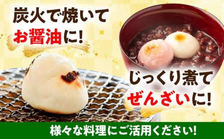 杵つきもち 切り餅 丸餅 2.4kg 餅 [AZBW005] 切り餅餅