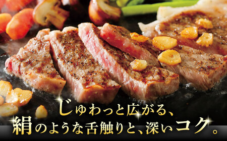 A5等級 飛騨牛 サーロインステーキ 400g (200g×2P)?瑞浪市 / マルチョウ渡辺精肉店 牛肉 和牛 国産 ギフト お取り寄せ[AZCW015]