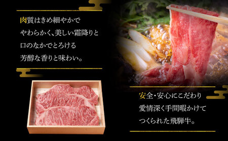 A5等級 飛騨牛 サーロインステーキ 400g (200g×2P)?瑞浪市 / マルチョウ渡辺精肉店 牛肉 和牛 国産 ギフト お取り寄せ[AZCW015]