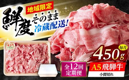 【12回定期便】 ※冷蔵配送/地域限定※ 飛騨牛 小間切 450g 瑞浪市 / きなぁた瑞浪?和牛 国産 岐阜県産[AZCI070]