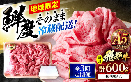 【3回定期便】 ※冷蔵配送/地域限定※ 飛騨牛 切落し (ロースまたは肩ロース) 600g 瑞浪市 / きなぁた瑞浪 和牛 国産 岐阜県産[AZCI077]