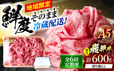 【6回定期便】 ※冷蔵配送/地域限定※ 飛騨牛 切落し (ロースまたは肩ロース) 600g 瑞浪市 / きなぁた瑞浪 和牛 国産 岐阜県産[AZCI078]