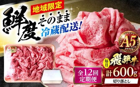 【12回定期便】 ※冷蔵配送/地域限定※ 飛騨牛 切落し (ロースまたは肩ロース) 600g 瑞浪市 / きなぁた瑞浪 和牛 国産 岐阜県産[AZCI079]