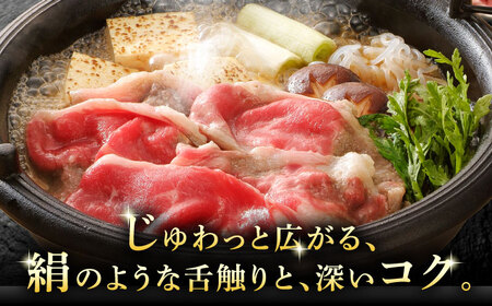 A5等級 飛騨牛 ローススライス 500g すき焼き しゃぶしゃぶ 瑞浪市 / マルチョウ渡辺精肉店 牛肉 和牛 国産 ギフト お取り寄せ すきしゃぶ[AZCW021]