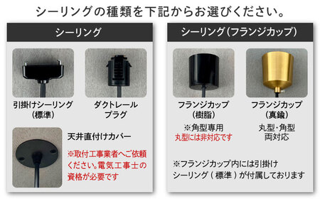 CTSH LIGHT. ペンダントライト＜HEXAGON ブラスト加工 E26＞ 瑞浪市 / ジオニック 照明器具 ソケット 真鍮 ゴールド [AZBQ082]