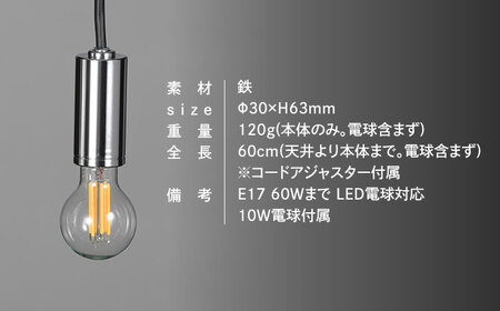CTSH LIGHT. ペンダントライト＜CIRCLE クロム加工 E17＞ 瑞浪市 / ジオニック 照明器具 ソケット 鉄 シルバー [AZBQ083]