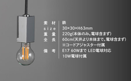 CTSH LIGHT. ペンダントライト＜SQUARE クロム E17＞ 瑞浪市 / ジオニック 照明器具 ソケット 鉄 シルバー [AZBQ085]