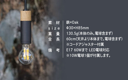CTSH LIGHT. ペンダントライト CIRCLE＜Oak×パーカーライジング E17＞ 瑞浪市 / ジオニック 照明器具 ソケット 鉄 木製 シルバー [AZBQ059]