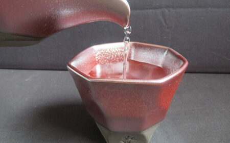 【美濃焼】 つばめ工房 黒土 ロックカップ ガーネット 瑞浪市 / 大恵 陶磁器 酒器 ギフト [AZBG010]