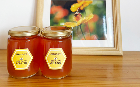 純粋ハチミツ ソヨゴ 300g×2 瑞浪市 / honey shop Bee farm asano 蜂蜜 はちみつ [AZBT010]