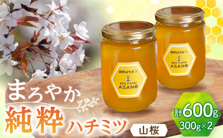 純粋ハチミツ 山桜 300g×2 瑞浪市 / honey shop Bee farm asano 蜂蜜 はちみつ [AZBT007]