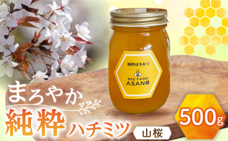【12/22までの決済で年内発送】純粋ハチミツ 山桜 500g×1 瑞浪市 / honey shop Bee farm asano 蜂蜜 はちみつ [AZBT008]
