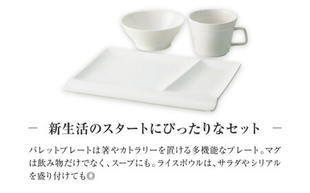 【美濃焼】　新生活のはじまりに miyama. スターターセット 3点 ホワイトマット 瑞浪市 / ミヤマプランニング 食器 プレート マグ ボウル [AZCM024]