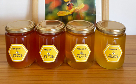純粋ハチミツ 4種セット (アカシア 山桜 ソヨゴ 野山の花 300g×各1) 瑞浪市 / honey shop Bee farm asano 蜂蜜 はちみつ [AZBT015]