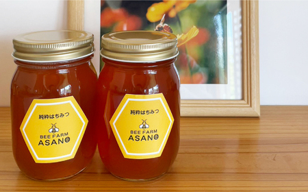 純粋ハチミツ 2種セット (野山の花500g×1 ソヨゴ500g×1) 瑞浪市 / honey shop Bee farm asano 蜂蜜 はちみつ [AZBT014]