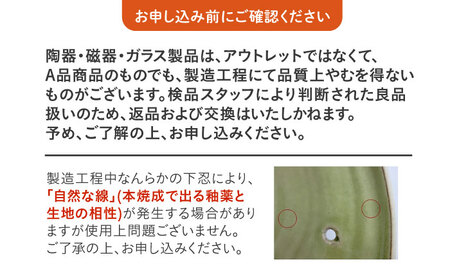 【美濃焼】 プレーン土鍋 8号 (3-4名用) グリーン ガス、IH両対応 IHプレート付 ina063 瑞浪市 / ながしまプランニングオフィス 陶器 どなべ 鍋 レンジOK オーブンOK [AZBM075]