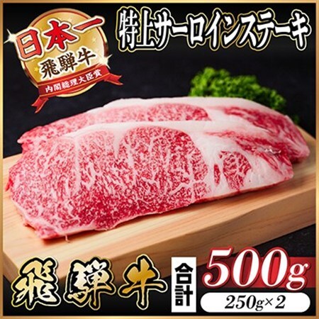 飛騨牛 特上 サーロインステーキ　500g(250g×2枚) 黒毛和牛_肉 ステーキ 牛肉 ビーフステーキ  肉 飛騨牛 牛肉 うし ビーフ_【配送不可地域：離島】【1487322】