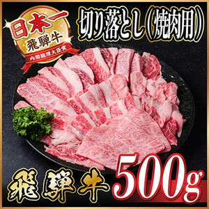 飛騨牛　訳あり切り落とし焼肉　500g　【配送不可地域：離島】【1487352】