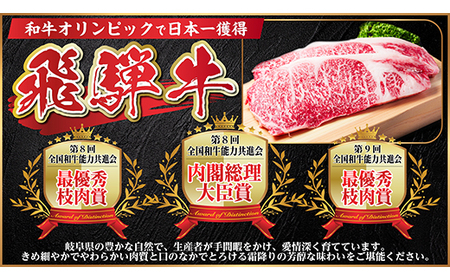 【ふるなびWEEK対象】【12/20ご入金分まで年内発送】飛騨牛 霜降・赤身スライス食べ比べセット　計1kg　しゃぶしゃぶ_肉 すき焼き 牛肉 すきやき スキヤキ  肉 しゃぶしゃぶ 牛肉 牛しゃぶ  肉 飛騨牛 牛肉 うし ビーフ_FN-Limited-PR【配送不可地域：離島】【1487359】