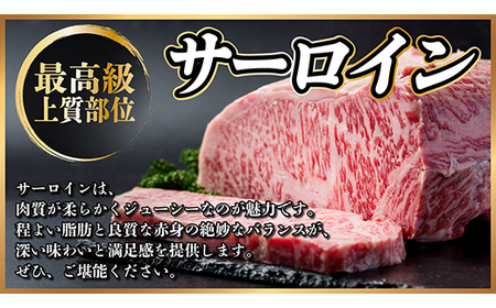 飛騨牛　ステーキ2種食べ比べセット　計400g【冷蔵便】A4～A5等級　黒毛和牛　シャトーブリアン他_肉 ステーキ 牛肉 ビーフステーキ_【配送不可地域：離島】【1530605】