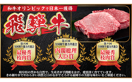 飛騨牛　ステーキ2種食べ比べセット　計400g【冷蔵便】A4～A5等級　黒毛和牛　シャトーブリアン他_肉 ステーキ 牛肉 ビーフステーキ_【配送不可地域：離島】【1530605】