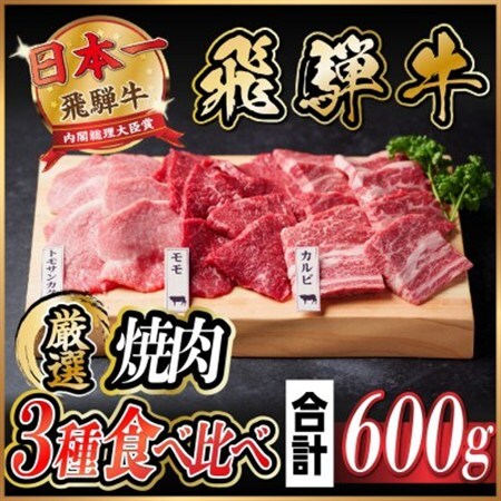 飛騨牛　焼肉厳選3種食べ比べセット(カルビ・トモサンカク・モモ)　約600g_肉 焼肉 牛肉 やきにく ヤキニク バーベキュー_【配送不可地域：離島】【1531174】