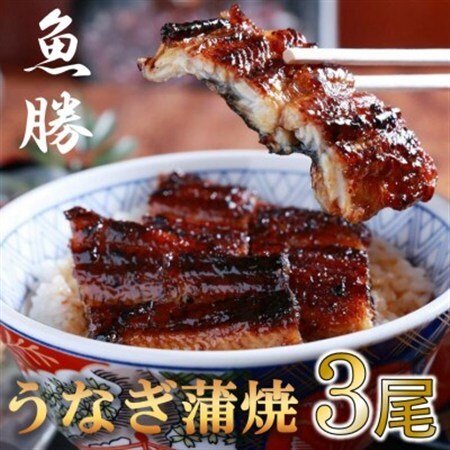 中国産うなぎ蒲焼　3尾〈計約480g〉_魚介・海産物 うなぎ  ウナギ 鰻_【配送不可地域：離島】【1532724】